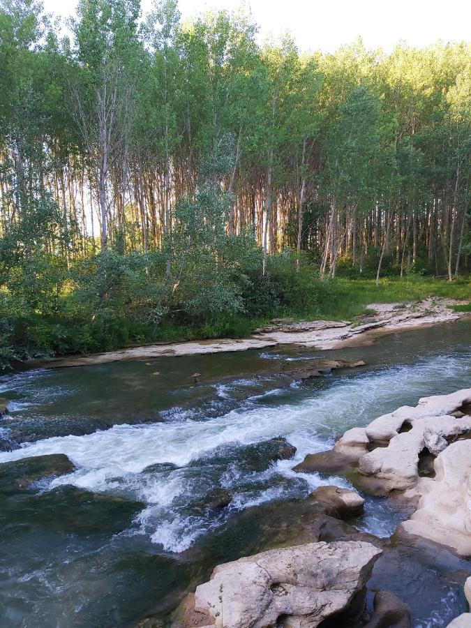 Durmiendo Entre Arboles, Bonita Cabana En La Rioja Anguciana Εξωτερικό φωτογραφία